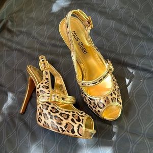 Colin Stuart heels